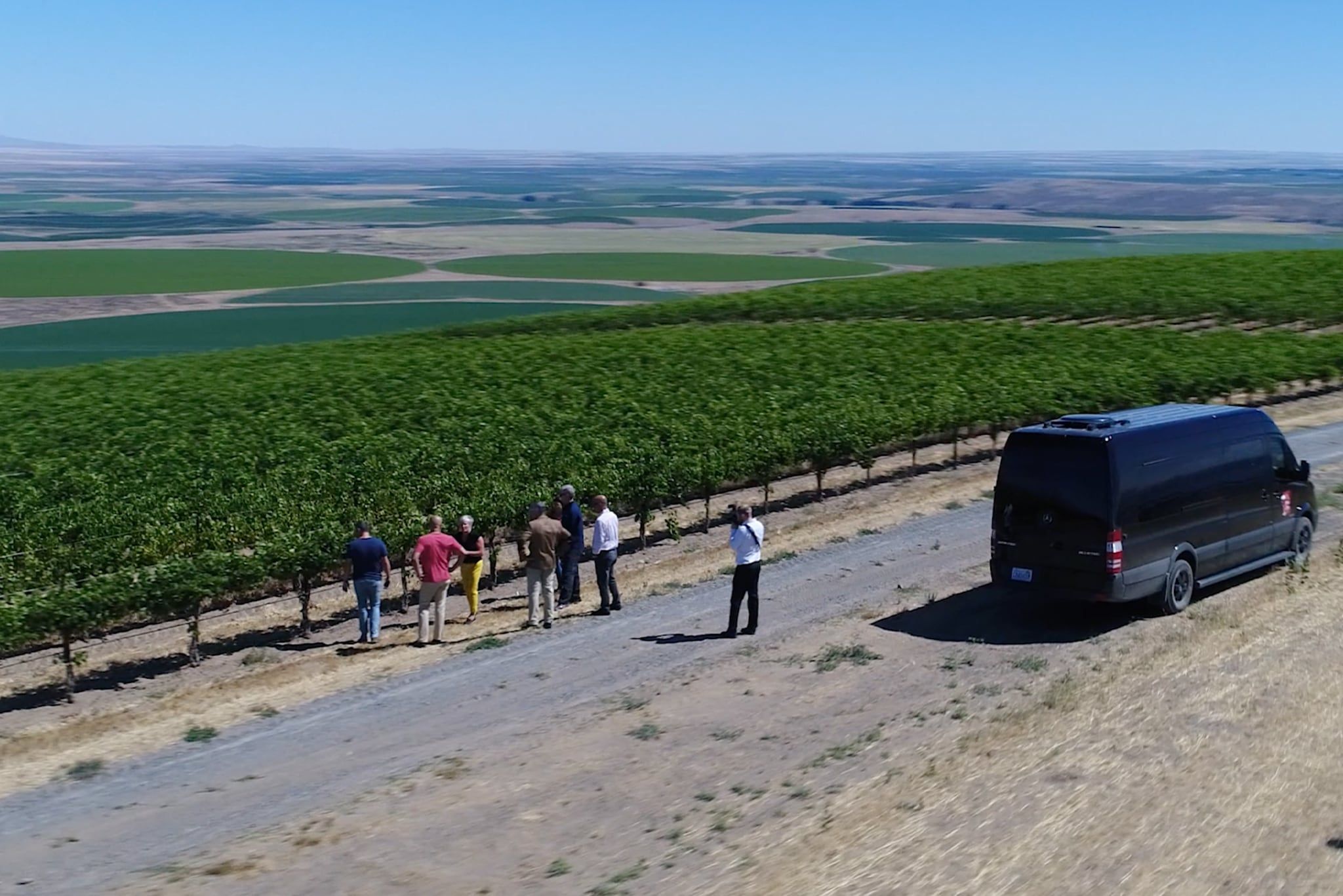 Admiring the expansive vineyards of Columbia Valley, Washington.
