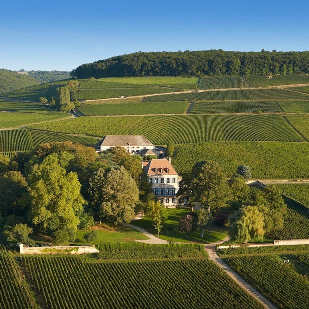 Maison Louis Latour, Francia