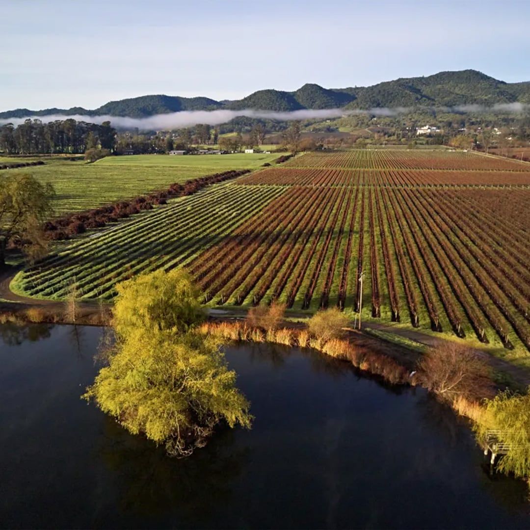 Silverado Vineyards, USA